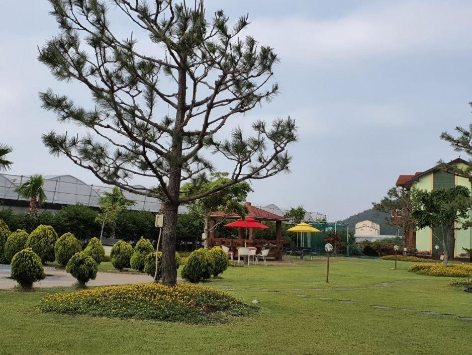 Jeju Time-Travel Pension Luaran gambar